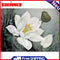 Lotus Flower Hand Painted Painting By Numbers DIY Canvas Oil Art Drawing Kit