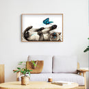 Diamond Kit Painting Round DIY Rhinestone Picture Full Drill Cat Butterfly 5D
