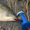 Cluster Anti-Hanging Bottom Explosive Hook Fish Hook Fishing W7N5 Hook A7Z4