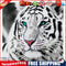 5D DIY Round Drill Diamond Painting White Tiger Kit Rhinestone Drawing Set