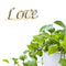 occitop wood love script word sign ornaments rustic wall tattoo for scrapbook