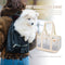 Travel Shoulder Waterproof Foldable Pet Cat Dog Carrier Handbag (Beige L)