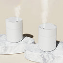 Air Humidifier with LED Night Light Mini USB Cool Mist Maker Fogger (White)