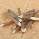 Stationery School Supplies Writing Tool Wooden Pencil Graphite Branch and Twig