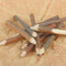 Stationery School Supplies Writing Tool Wooden Pencil Graphite Branch and Twig