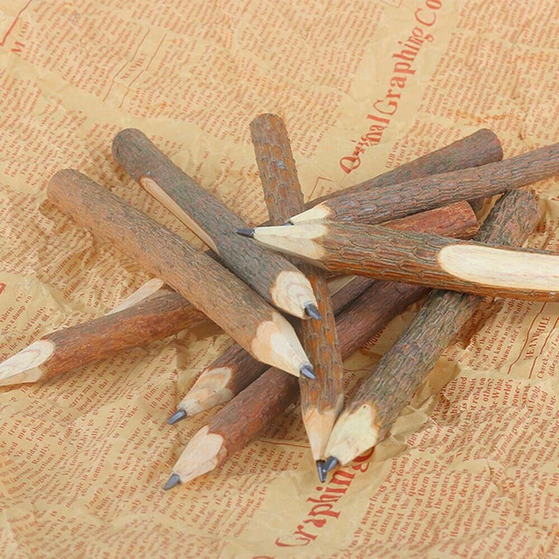 Stationery School Supplies Writing Tool Wooden Pencil Graphite Branch and Twig