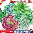 5D DIY Full Round Drill Diamond Painting Succulent Plants Cross Stitch Kit