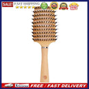 Scalp Massage Comb Salon Hairbrush Bristle Women Wet Curly Hair Detangle Brush