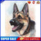 Dog Oil Paint By Numbers Kits DIY Handpainted on Canvas Wall Art Pictures