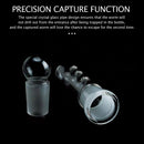 Crystal Glass Aquarium Planarian Worm Aquatic Cleaner Flatworm Plague Catch Trap