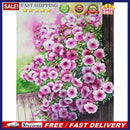 Drawing Paintwork Flower Home Wall Living Room Decoration 40x50cm Without Fra