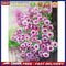 Drawing Paintwork Flower Home Wall Living Room Decoration 40x50cm Without Fra