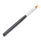 DIY Bloom Manicure Tool Gradient Effect Nail Painting Brush Pen Double-deck