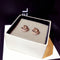Eardrop Women Wedding Earrings Pendant Super Micro Inlaid Rhinestone Ear Stud