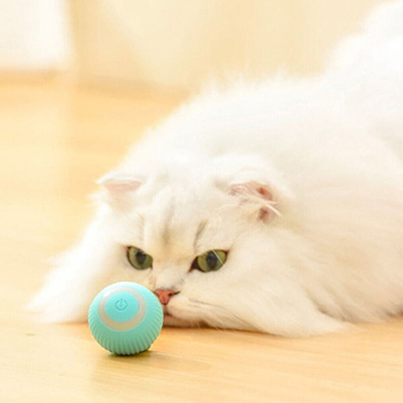 Gravity Smart Cat Ball Toys Catnip Sounding Interactive Rolling Training To