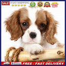 5D DIY Full Drill Diamond Painting Bored Puppy Cross Stitch Embroidery Mosa