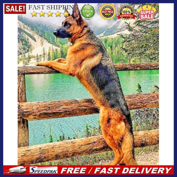 Coloring DIY Digital Oil Painting Dog See the Scenery No Frame Picture By N