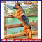 Coloring DIY Digital Oil Painting Dog See the Scenery No Frame Picture By N