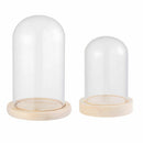 Bottle Glass Vase Glass cloche Dust Cover Wooden base Flower Storage box