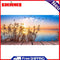 HandPainted Oil Paint Kill Time Picture Colouring Artcraft Gift Reeds at Sunset