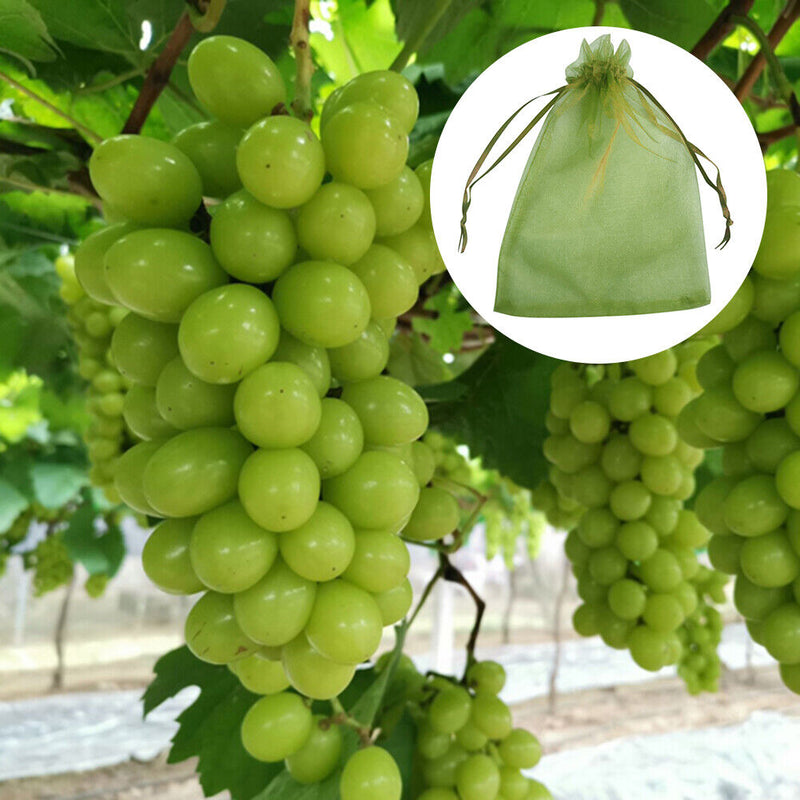 50pcs Garden Drawstring Net Bags Vegetable Fruit Grapes Protection Pouch Newly