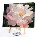 Hand Painted Oil Paint By Numbers Kit DIY Acrylic Peony Flower Canvas Paint