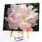 Hand Painted Oil Paint By Numbers Kit DIY Acrylic Peony Flower Canvas Paint