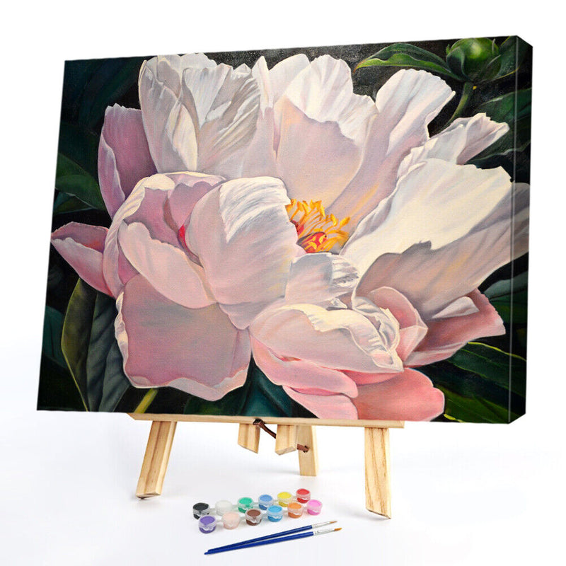 Hand Painted Oil Paint By Numbers Kit DIY Acrylic Peony Flower Canvas Paint