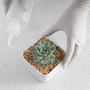 Garden Planter Kit Succulent Planting DIY Tool Seedling Tool (16pcs Pink) Newly