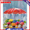 Umbrella Flower Oil Paint by Number Hand Painted Frameless Picture Home Ornament
