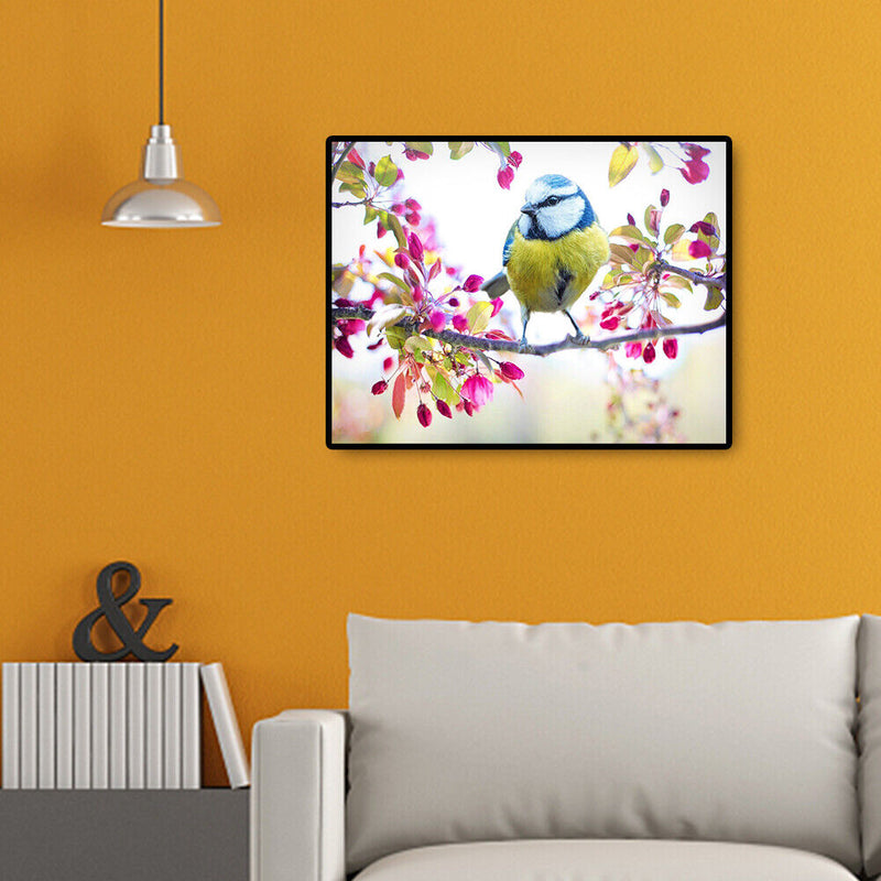 30x40cm No Frame Digital Coding Painting Hand Painted Canvas Oil Art Picture