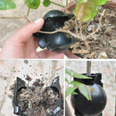 5cm Plant Rooting Box High Pressure Grafting Propagation Ball (Black S) Newly