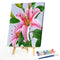 Special Flower 40x50cm Oil Paint By Numbers DIY Painting