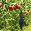 Realistic Hanging Dead Crow Decoy Lifesize Extra Large Feathered Black Cro best