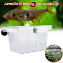 Aquarium Fish Tank Guppy Double Breeding Breeder Rearing C L6C0 Clear X6K0 A1G7