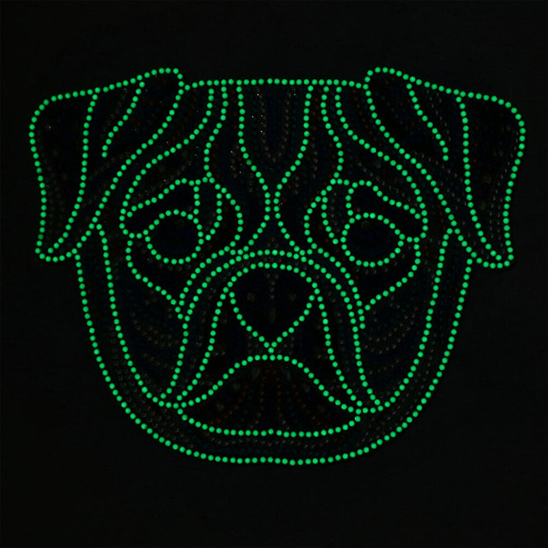 Part Drill Luminous Special Shaped DIY Dog 5D Diamond Painting (DZ518) Newly
