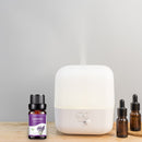 10ml Essential Oils Air Humidifier Aroma Diffuser Aromatherapy Water-soluble Oil