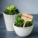 50x Wooden T-Shape Plant Labels Seed Potted Herbs Flowers Sign Tags Sticks Newly