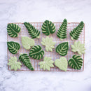 Biscuit Stamp Biscuit Mold Turtle Leaf Shaped Agave Ivy Cookie Embosser Mold
