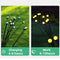 LED Solar Firefly Garden Light Kit Garden Landscape Firefly Swaying # Warm ligh`