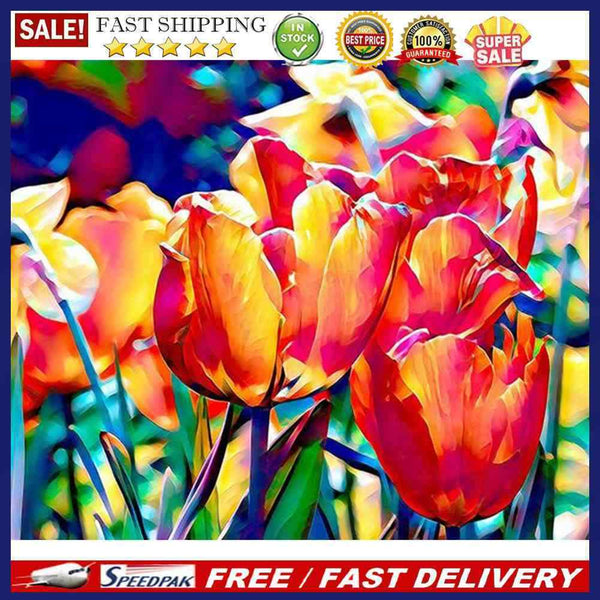 Colorful Flower Oil Paint By Numbers Kit DIY Acrylic Painting Frameless Drawi