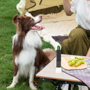 Xhp50+cob Flashlight Flashlight 1000lm Outdoor Flashlights USB 2 in 1 for Hiking