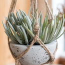 Macrame Plant Hanger Flowerpot Holder Gardenpot Lifting Rope (MS01)