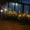 LED Solar Firework Lamp Outdoor Garden Lawn Stake String Light (Warm White)