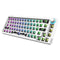 68 Keys RGB 60 Percent NKRO DIY Mechanical Hotswap Keyboard Kits (White)