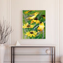 Paint By Numbers DIY Canary Hand Painted on Canvas Oil Art Craft Home Wall Decor