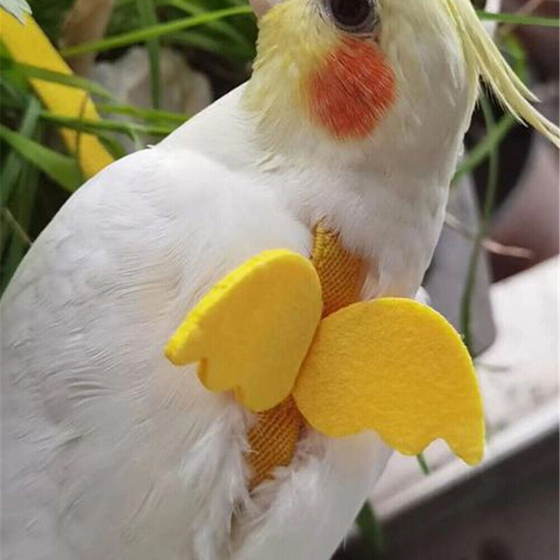 Ultra Light Parrot Flying Sling Leash Training Bird Traction Strap (Yellow)