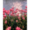 Tulip Oil Paint By Numbers Kit Frameless Drawing Picture 40x50cm (B1665)