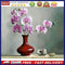 Phalaenopsis Oil Paint By Numbers Kits DIY Handpainted on Canvas Gift Unframed