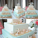 Accessories Pastry Tool Conch Shells Baking Mould Silicone Mold Cake Decorating